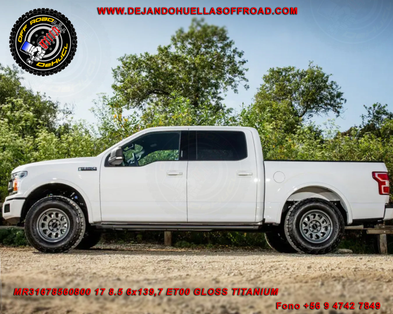 316 Titanio brillante 6X139.7