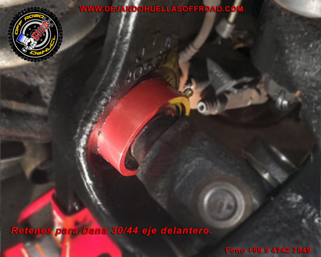 Reten o Juntas para Dana 30/40 Delanteros para Jeep Cherokee / Wrangler